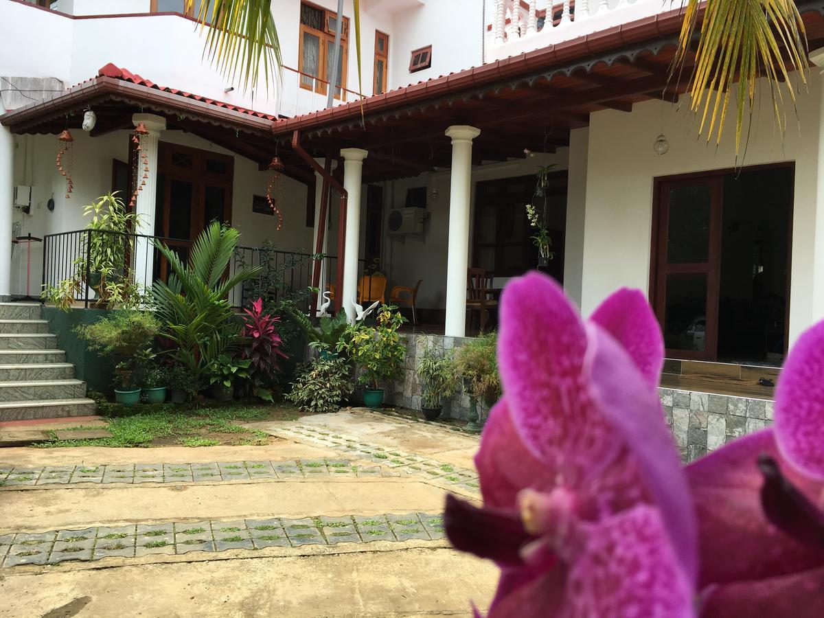 Hanthana Jungle View Holiday Home Kandy Exteriér fotografie